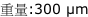 重量:300 µm